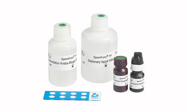 Kit de teste de função de esperma 40T/Kit para fosforilação de tirosina de proteína determinada
