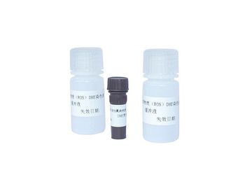 Kit de coloração DHE de espécies reativas de oxigênio para esperma para citometria de fluxo ROS