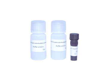 Kit de coloração de mitocôndrias de esperma Kit de teste de fertilidade masculina de alta precisão