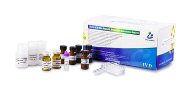 Kit NAG de Plasma Seminal para Avaliação da Função Secretora do Epidídimo Masculino