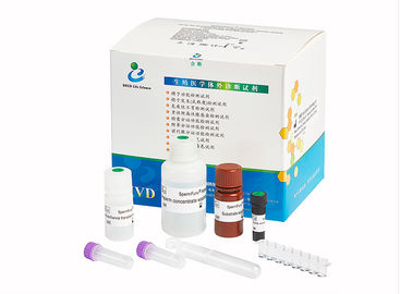 Acrosin Kit Male Infertility Test, fertilidade Kit For Men de Spermcheck