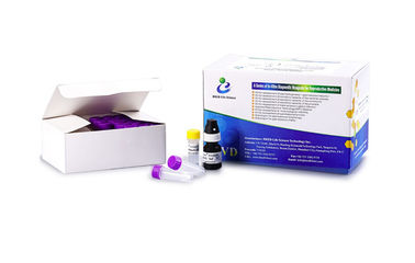 Kit de teste de fertilidade masculina Simple Operate Kit de teste de leucócitos para sêmen Coloração com peroxidase
