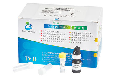 Kit de teste de leucócitos de amostra de sêmen 40T/kit para triagem de infecção do trato reprodutivo masculino