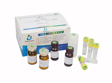 Kit de teste de fertilidade masculina de maturidade de esperma Kit de ensaio de ROS de função de esperma
