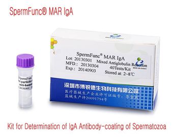 40T/Kit Kit de Diagnóstico Masculino para Determinação de Revestimento de Anticorpo IgA de Espermatozoides