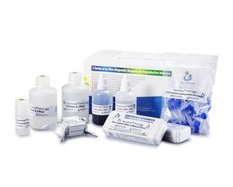 40 Testes / Kit Método SCD Kit de teste de fragmentação de DNA de esperma Corante de coloração Wright